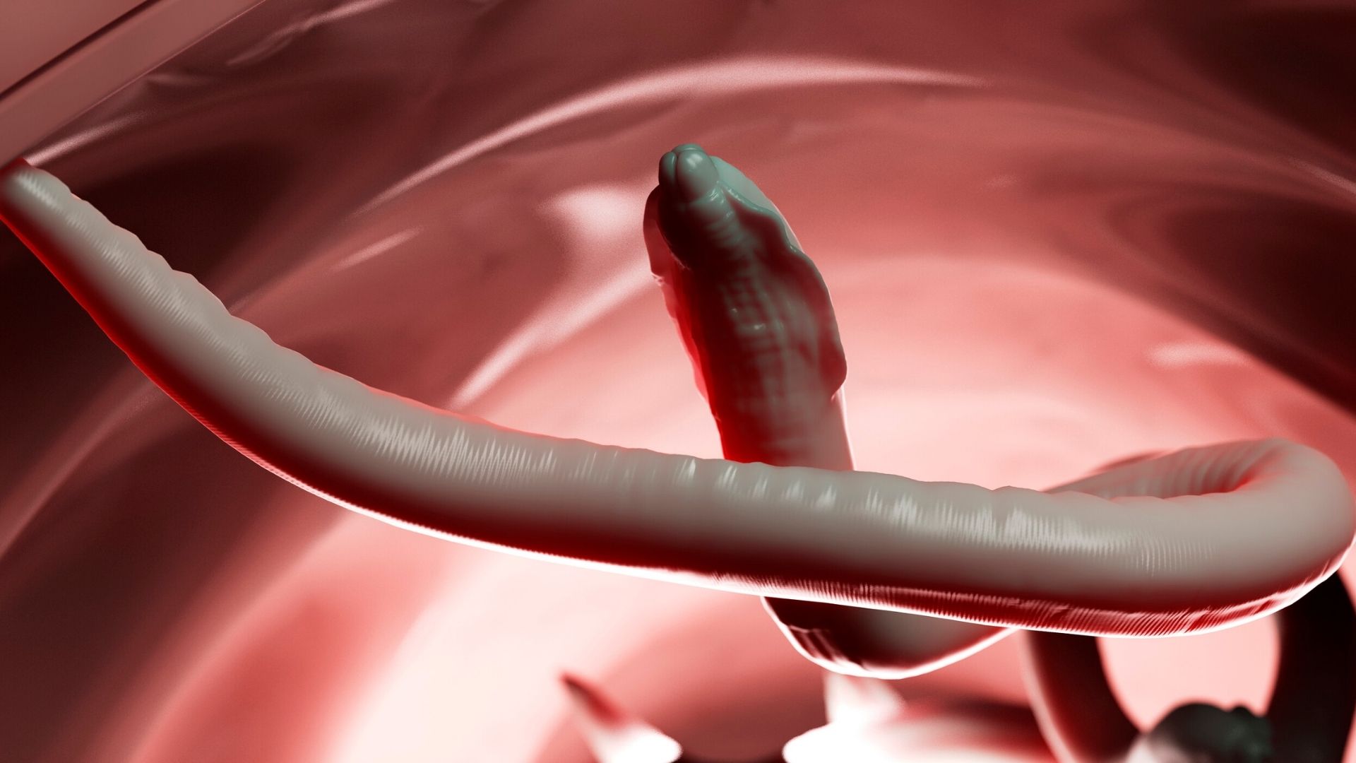 Vers Intestinaux: Conseils à l'officine