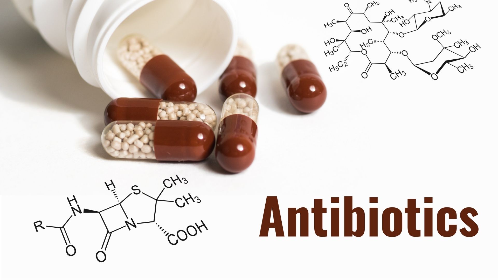 Les Antibiotiques: Guide à l'officine